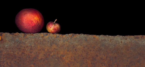 Rust objects Print
