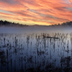Peaceful sunset