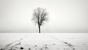 Minimal Images  8