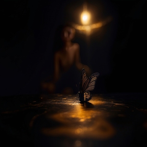 Muse of Gilded Wings  5