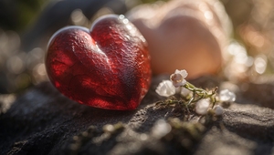 The Echo of Desire  13