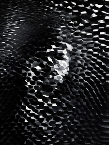 Monochrome Reverie  22