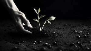 Tend your Garden