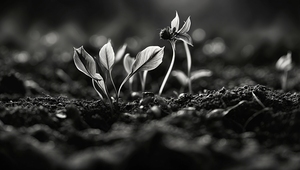 The Becoming 