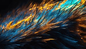 VIbrant Colors  4