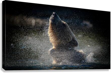 Spin cycle - Essorage Canvas Print