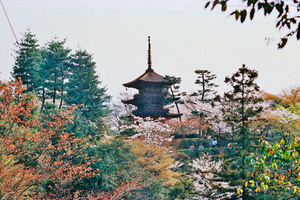 Kyoto Japan