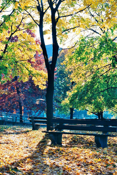 Foliage Print