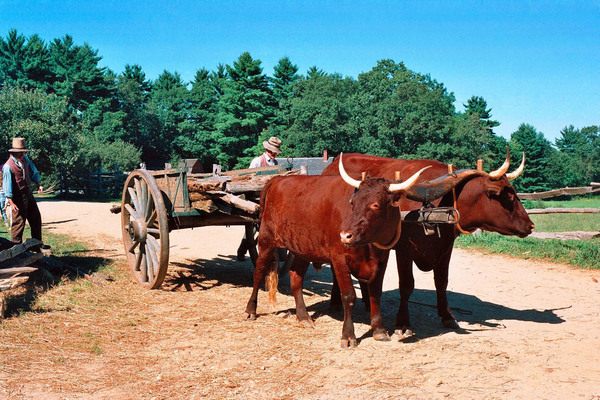 29a edited 2   Copy Print