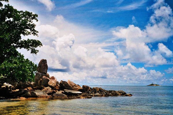 SDg   Copy Print