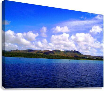 1   Copys Canvas Print