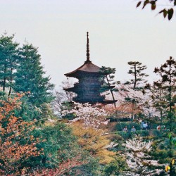 Kyoto Japan