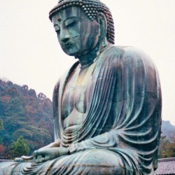The Great Buddha of Kamakura Japan 