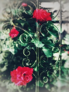 018CC72E 1895 4479 9C75 42B7504E76F3