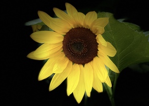 49B02D35 27C4 45C2 B5CA 4D5EF1E358FA