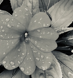 8DF11503 D7DB 4C22 9B4E 95868F230A85