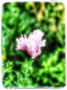 93E6D5A5 D3FB 47D8 B7FE 1ACA1123AE49