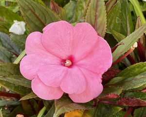 9FFECCC0 0A5B 4A76 8752 4E2BE19CF21B