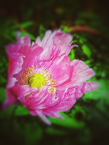 DDB55877 C6EF 454E A3B2 CA22E9070E52