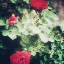 234FDA03 B6C3 47BE 96E4 00A8C93D0AC5