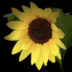 49B02D35 27C4 45C2 B5CA 4D5EF1E358FA