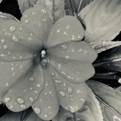 8DF11503 D7DB 4C22 9B4E 95868F230A85