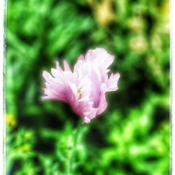 93E6D5A5 D3FB 47D8 B7FE 1ACA1123AE49