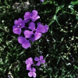 9A0CA0D8 1CB1 42C3 9CA2 CCF4751CBA0B