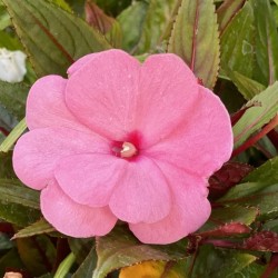 9FFECCC0 0A5B 4A76 8752 4E2BE19CF21B