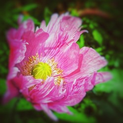 DDB55877 C6EF 454E A3B2 CA22E9070E52