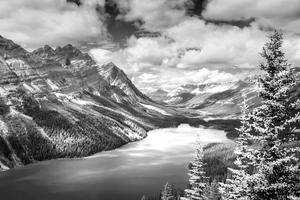 Peyto lake Banff National Park
