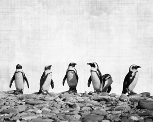 Penguins