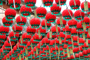 Red lotus lanterns in Seoul
