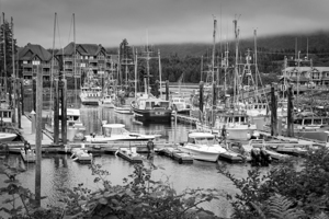 Ucluelet harbor Vancouver island