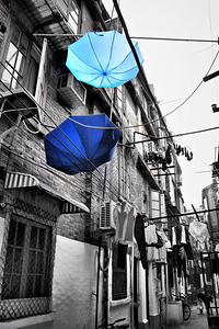 Shanghai after the rain