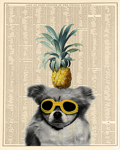 Dog with goggles and pineapple