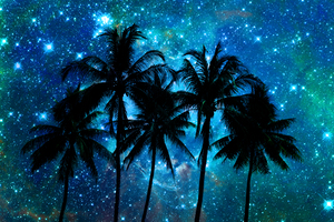 Tropical night