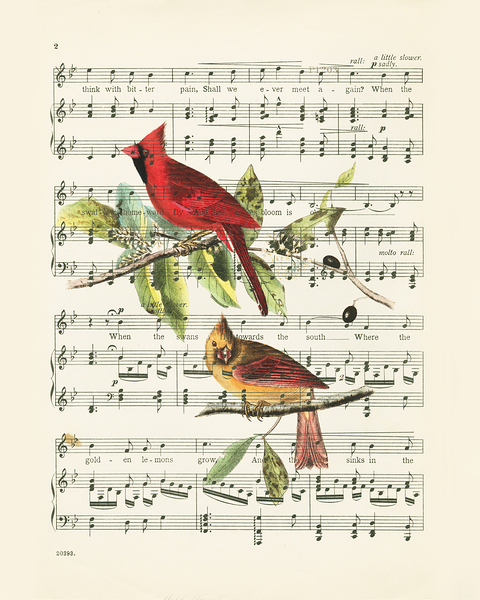 Singing cardinals vintage sheet music