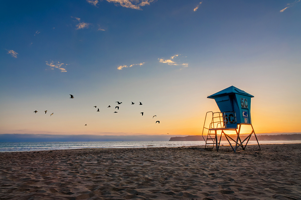 Coronado beach sunset in San Diego seagulls and lifeguard tower by DELPHIMAGES