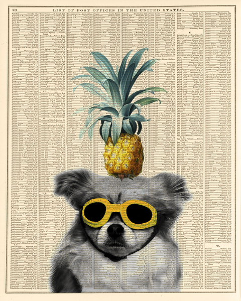 Dog with goggles and pineapple by DELPHIMAGES