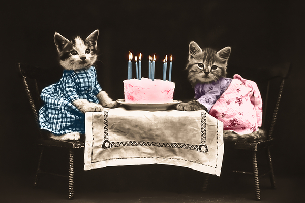 Vintage kittens birthday Print