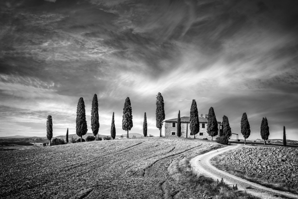 Iconic tuscan farm landscape - Black and white