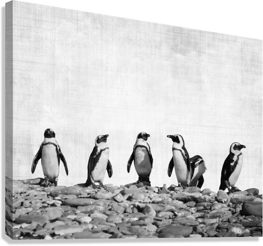 Penguins Canvas Print