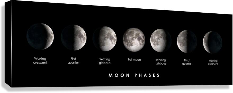 Moon phases Canvas Print