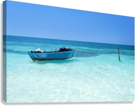 Blue boat Canvas Print