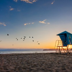 Coronado beach sunset in San Diego seagulls and lifeguard tower