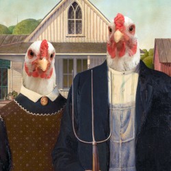 American Gothic chickens