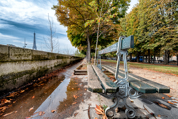 Bench with a view Print