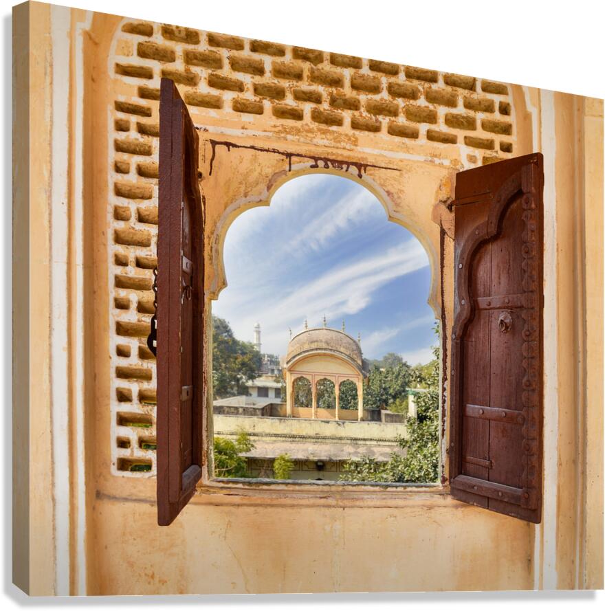 Through the Window Canvas Print