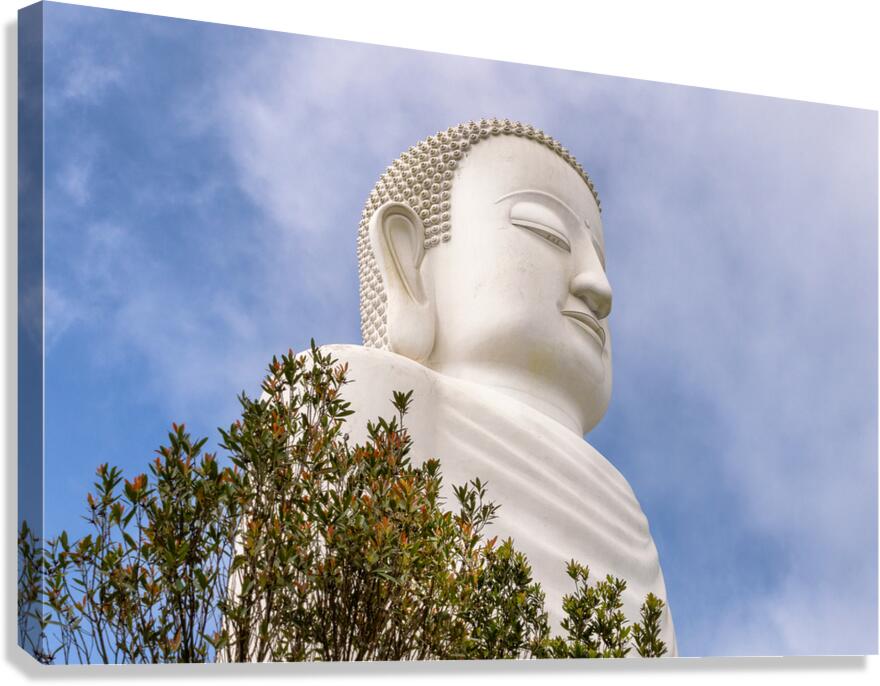 White Buddha Canvas Print
